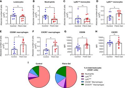 Physiological fibrin hydrogel modulates immune cells and molecules and accelerates mouse skin wound healing